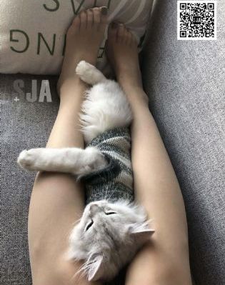 密室大逃脱第一季恐怖公馆