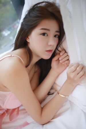 神探杨金邦电视剧免费观看