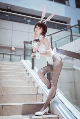 侠盗荣耀