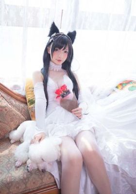 特化师 电视剧